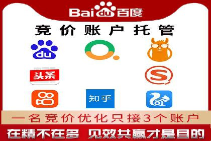 SEM广告投放的创意与执行：成功案例剖析